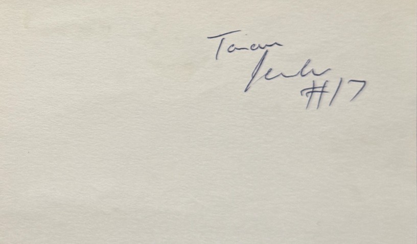 Tarvaris Jackson - Minnesota Vikings