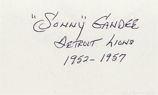 Sonny Gandee - Detroit Lions
