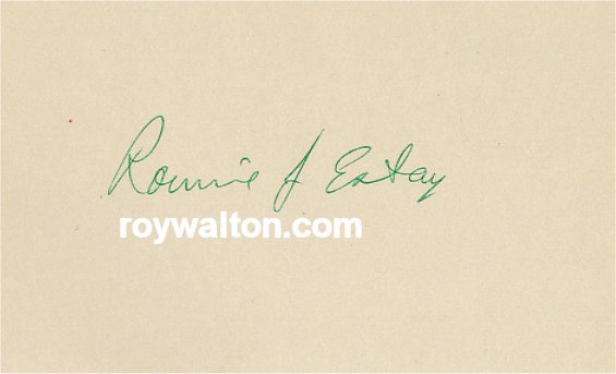 Ronnie Estay - LSU Tigers