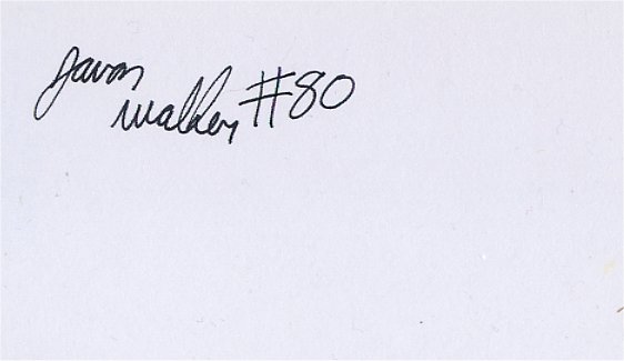 Javon Walker - Green Bay Packers