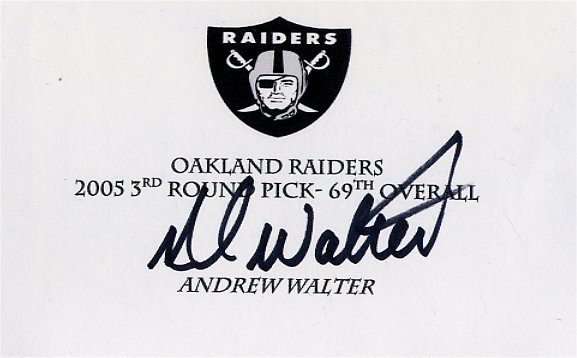 Andrew Walter - Oakland Raiders