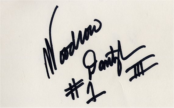 Woodrow Dantzler - Dallas Cowboys