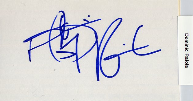 Dominic Raiola - Detroit Lions