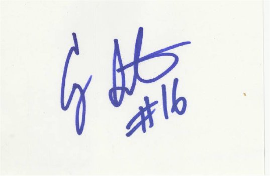 Cory Sauter - Chicago Bears