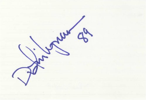 Dustin Lyman - Chicago Bears