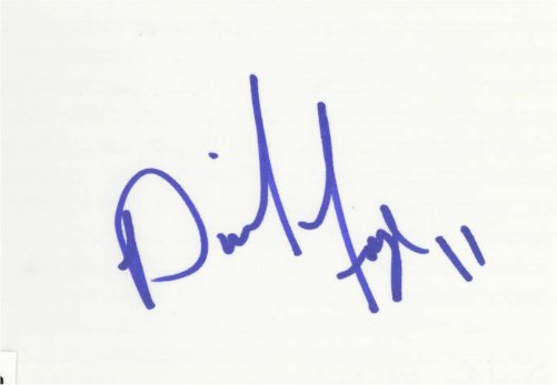 David Foye - Miami Dolphins