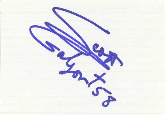 Scott Gaylon - Miami Dolphins