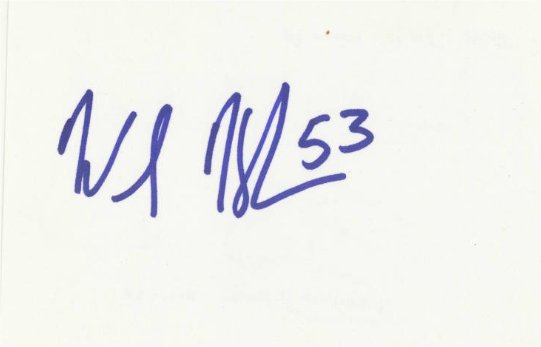 Warrick Holdman - Chicago Bears