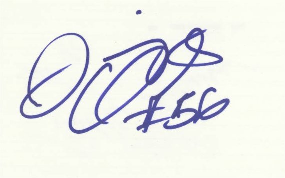 Jimmy Clements - Miami Dolphins