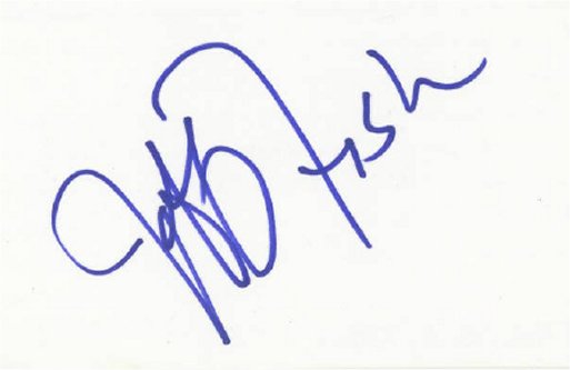 Jeff Fischer - Chicago Bears