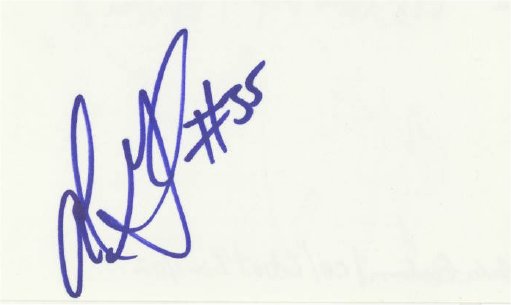 Andre Goodman - Detroit Lions