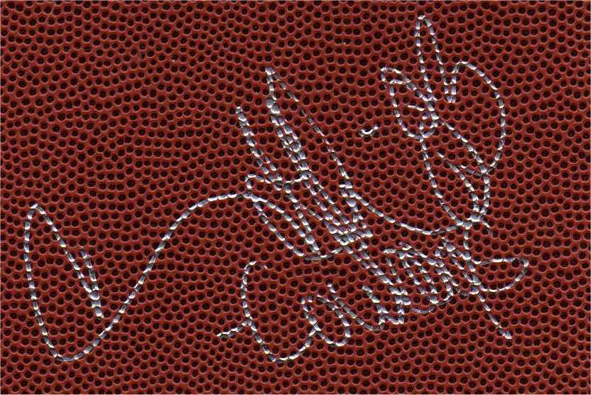 Terry Glenn - Dallas Cowboys