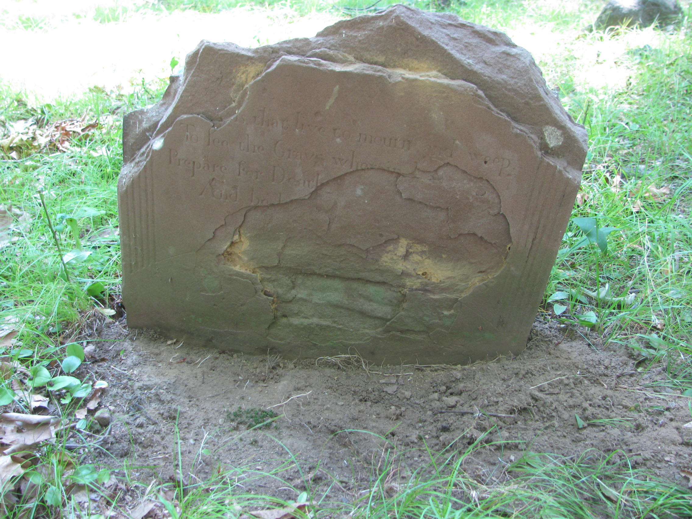 94.jpg