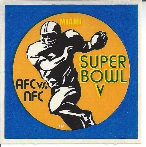 Super Bowl PT         Patch