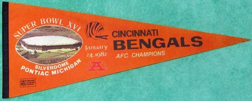Super Bowl PD         Pennant