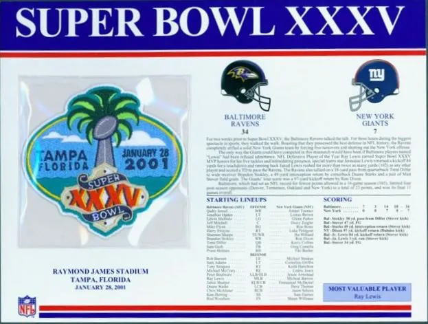 Super Bowl PT         Patch